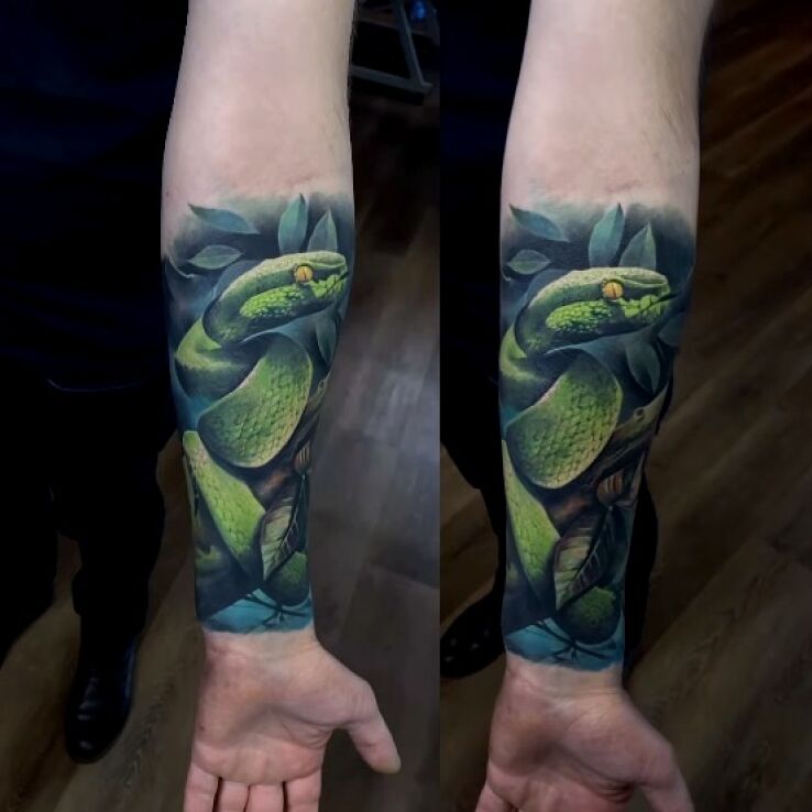 Tatuaż wąż w motywie kolorowe i stylu realistyczne na ręce