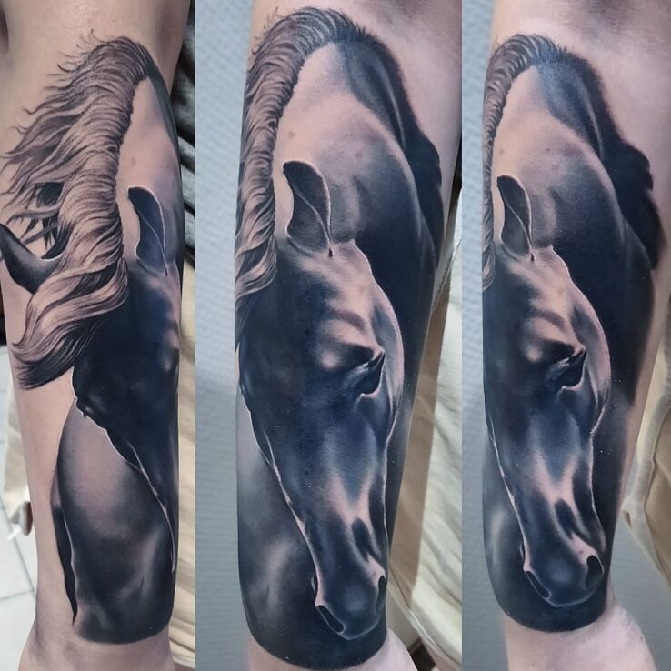 Tatuaż koń w motywie czarno-szare i stylu realistyczne na przedramieniu