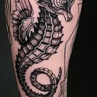 Tatuaż konik morski w miejscu intymnym, motyw: pozostałe, styl: dotwork