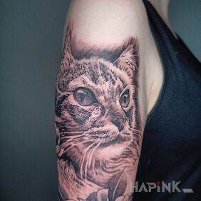 Tattoo Cat on the upper arm motif: black and gray style: realistic