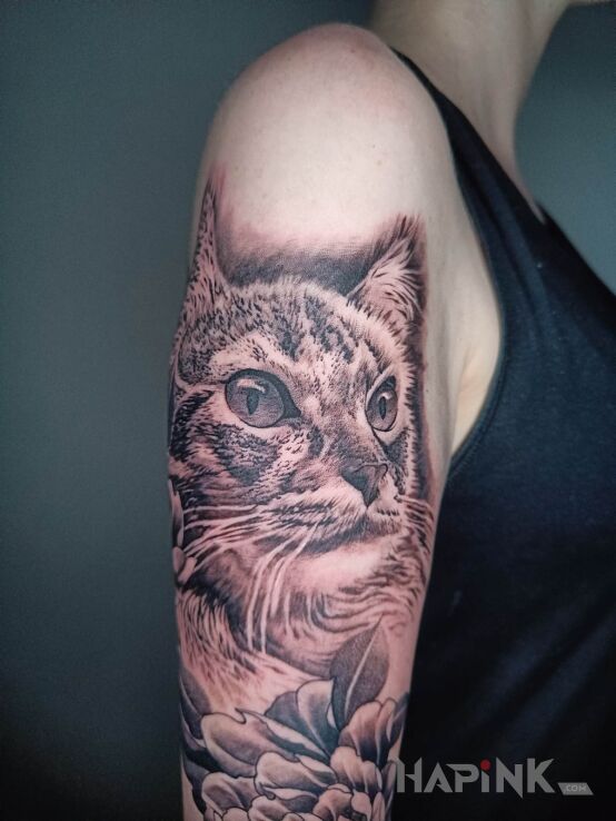 Tattoo Kot in black and gray motif and realistic style On the arm