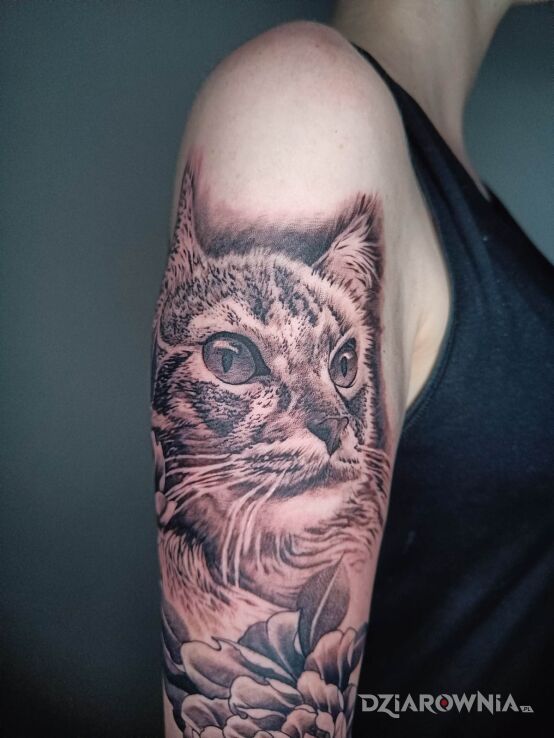 Tatuaż kot w motywie anatomiczne i stylu realistyczne na ramieniu