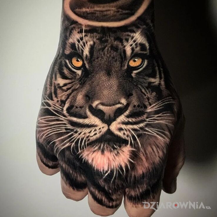 Tatuaż święty tygrys w motywie zwierzęta i stylu realistyczne na dłoni