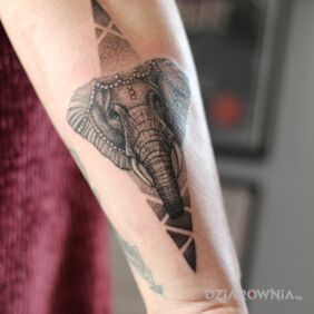 Tatuaż Słonik dotwork na przedramieniu motyw: zwierzęta styl: realistyczne