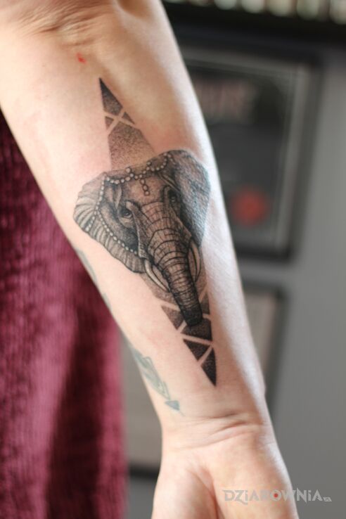 Tatuaż słonik dotwork w motywie zwierzęta i stylu realistyczne na przedramieniu