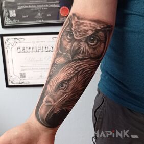 Tattoo Eagle and owl on the forearm motif: black and gray style: realistic