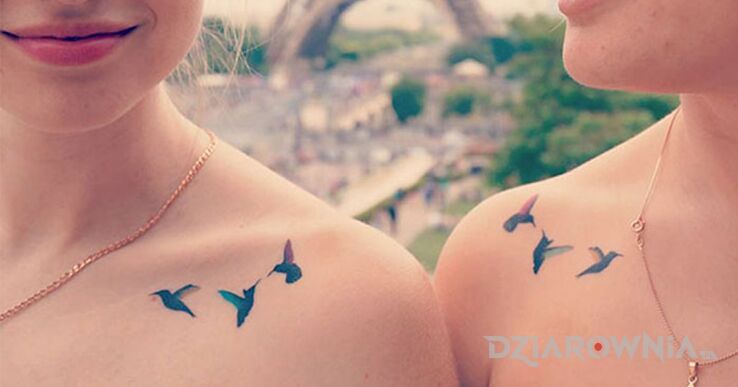 Tatuaż niebieskie koliberki w motywie kolorowe i stylu minimalistyczne na obojczyku