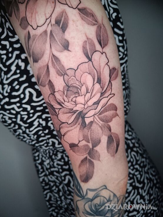 Tatuaż kwiat w motywie natura i stylu graficzne / ilustracyjne na ramieniu