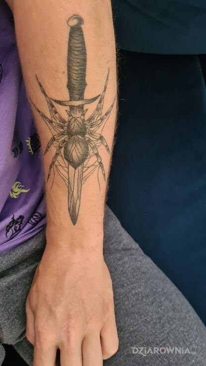 Tatuaż pająk sztylet w motywie pozostałe i stylu kontury / linework na przedramieniu