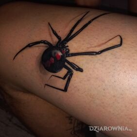 Tatuaż Spider na udzie motyw: 3D styl: realistyczne