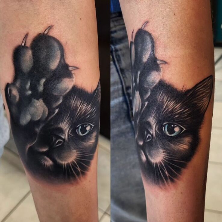 Tatuaż kotek w motywie zwierzęta i stylu realistyczne na przedramieniu