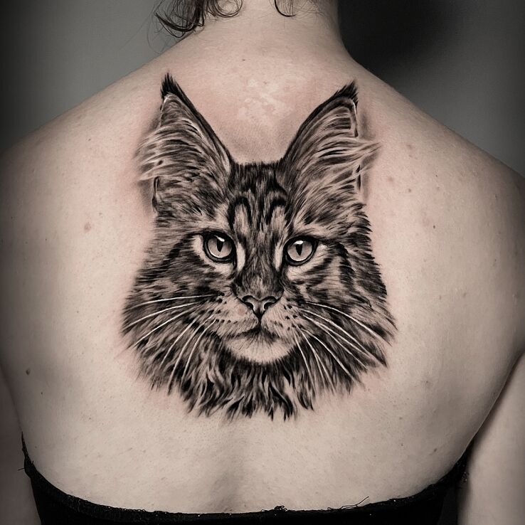 Tatuaż portret maine coon w motywie zwierzęta i stylu realistyczne na plecach