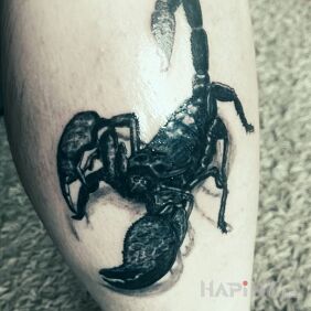 Tattoo Scorpio on the calf motif: 3D style: realistic