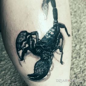 Tatuaż Skorpion na łydce motyw: 3D styl: realistyczne