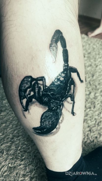 Tatuaż skorpion w motywie 3D i stylu realistyczne na łydce