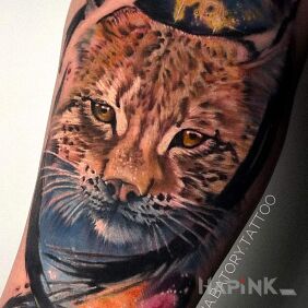 Tattoo Lynx close-up On the arm motif: animals style: realistic