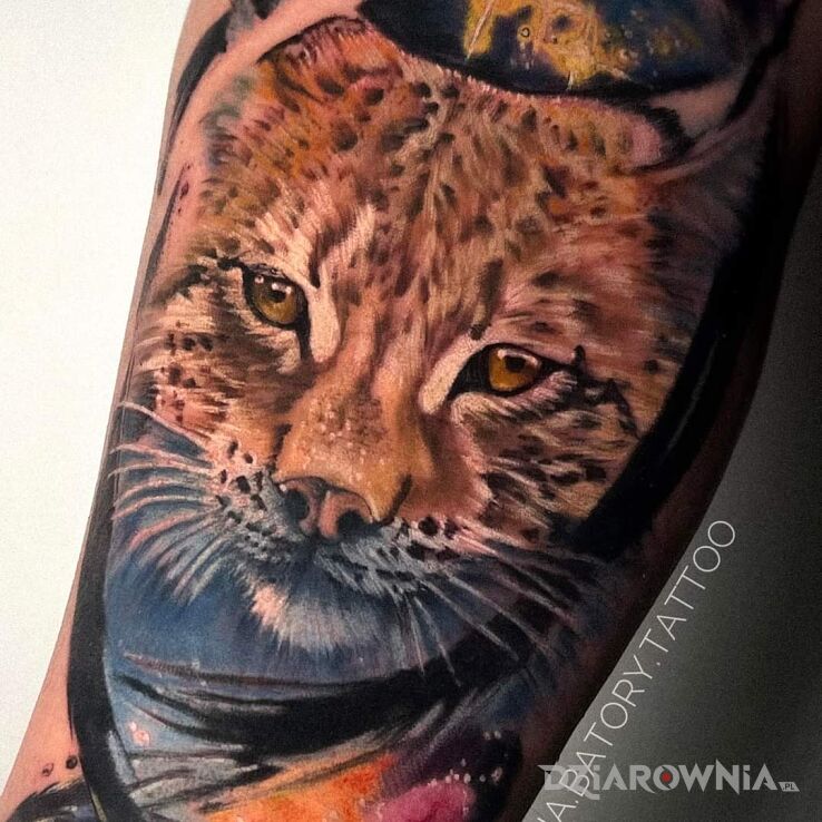 Tatuaż ryś zbliżenie w motywie zwierzęta i stylu realistyczne na przedramieniu