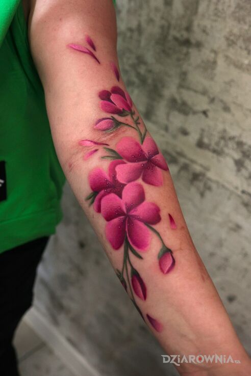 Tatuaż kwiaty wiśni od roofiego w motywie natura i stylu watercolor na przedramieniu