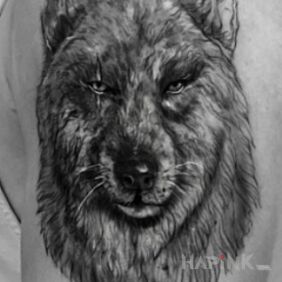 Tattoo Wolf On the arm motif: animals style: realistic