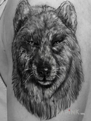 Tattoo Wilk in animals motif and realistic style on the upper arm