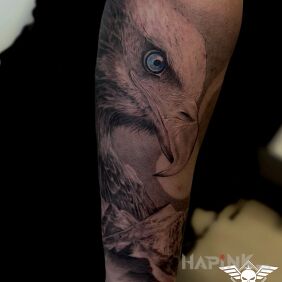 Tattoo Bird on the forearm motif: nature style: realistic