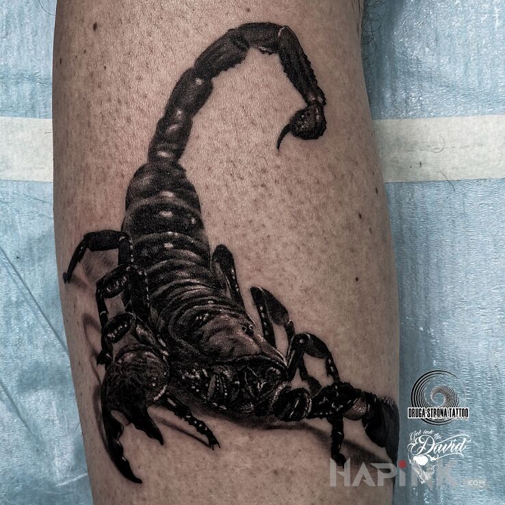 Tattoo Skorpion :D in black and gray motif and realistic style on the calf