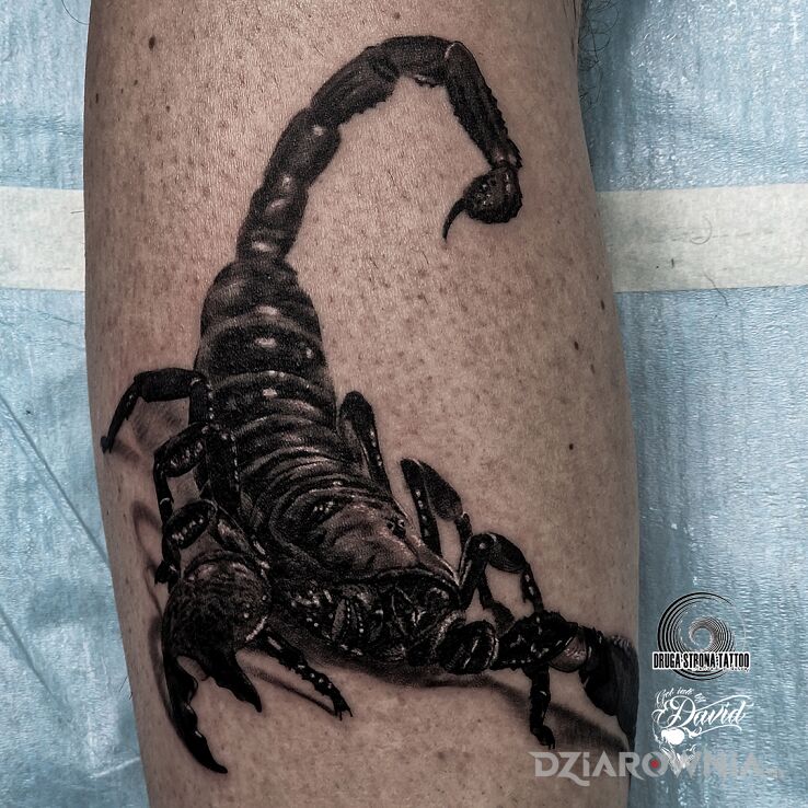 Tatuaż skorpion d w motywie znaki zodiaku i stylu realistyczne na łydce