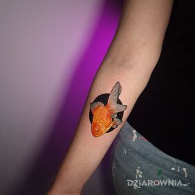 Tatuaż Złota rybka na przedramieniu motyw: zwierzęta styl: japońskie / irezumi
