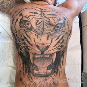 Tattoo Tiger on the back motif: 3D style: realistic