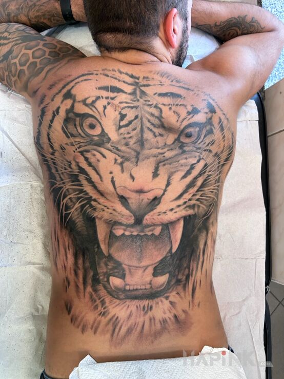 Tattoo Tiger in animals motif and realistic style on the shoulder blades