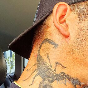 Tattoo Scorpion on the neck motif: black and gray style: realistic
