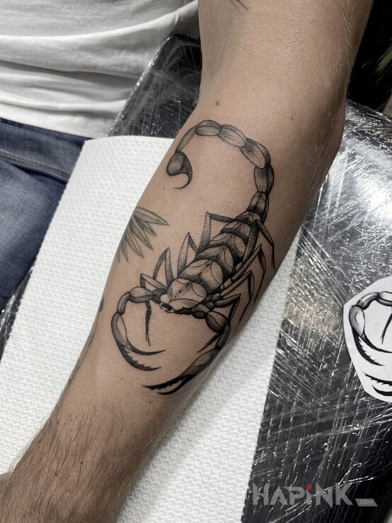 Tattoo Skorpioniszcze! in animals motif and graphic / illustrative style on the forearm