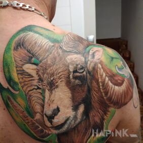 Tattoo Zodiac sign on the shoulder blades motif: zodiac signs style: realistic