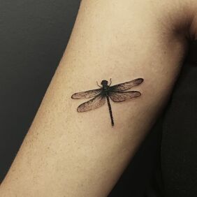 Tattoo Microrealism dragonfly biceps tattoo On the arm style: minimalistic