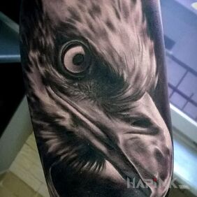 Tattoo Eagle's shadow xd on the upper arm motif: animals style: realistic