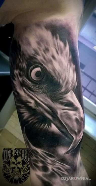 Tatuaż orła cień xd w motywie zwierzęta i stylu realistyczne na ramieniu