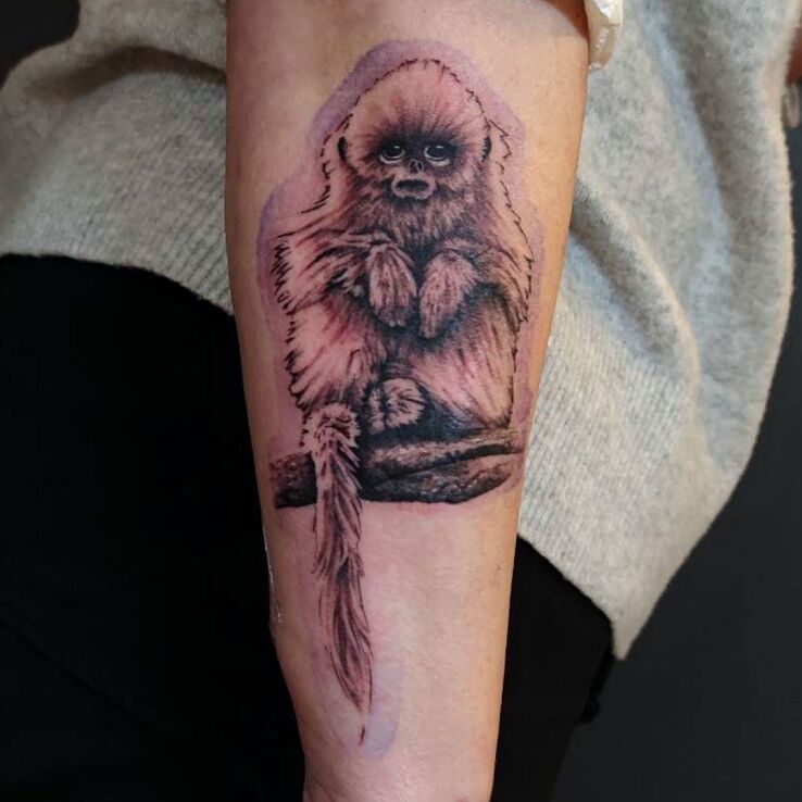 Tatuaż  damski na przedramieniu małpka w motywie natura i stylu dotwork na przedramieniu
