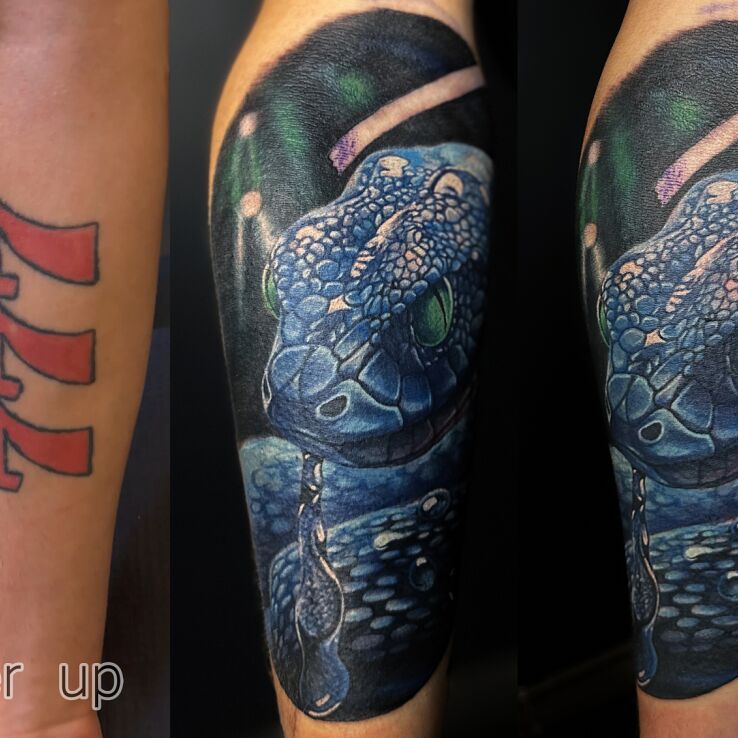Tatuaż  kolorowy wąż zakrycie tatuażu w motywie zwierzęta i stylu realistyczne na przedramieniu