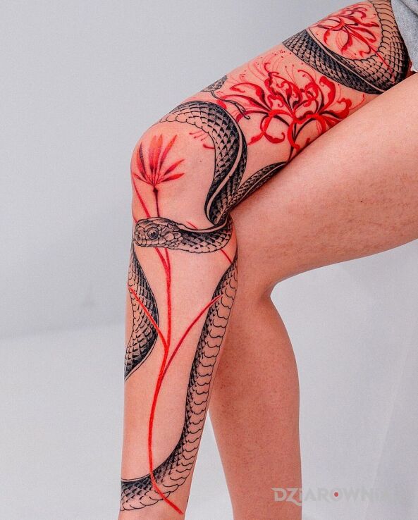 Tatuaż czerwone kwiaty i wpleciony w nie wąż w motywie kwiaty i stylu graficzne / ilustracyjne na kolanie