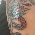 Pielęgnacja tatuażu - Problemy z gojeniem, proszę o poradę