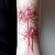 Lycoris