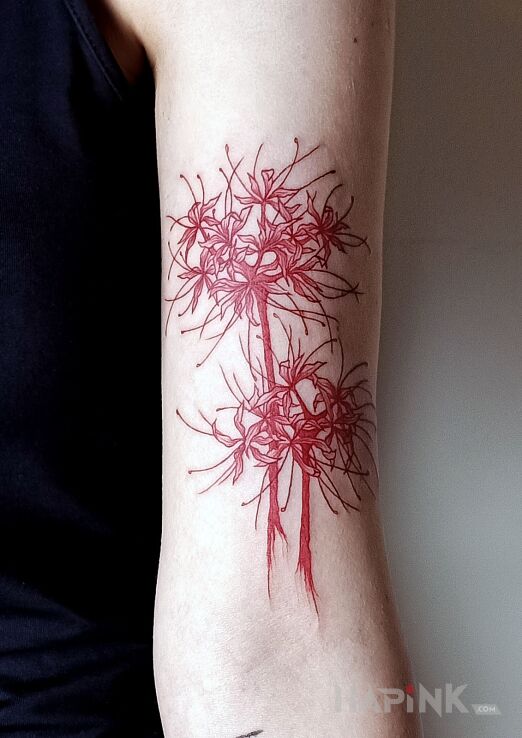Tattoo Tatuaż kobiecy Lilia Pajęcza czerwona Lycoris Radiata in colorful motif and graphic / illustrative style on the bicep