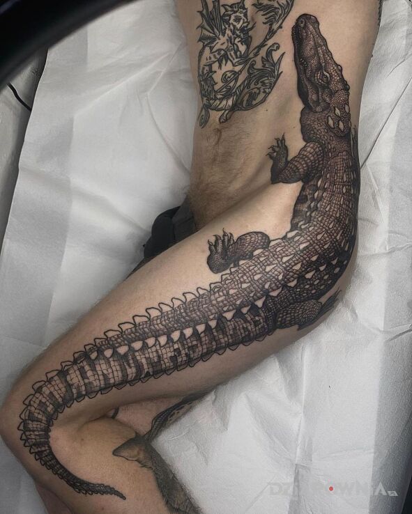 Tatuaż lacoste w motywie czarno-szare i stylu realistyczne na nodze