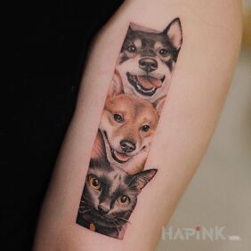 Tattoo 2 dogs and a cat on the upper arm motif: 3D style: realistic
