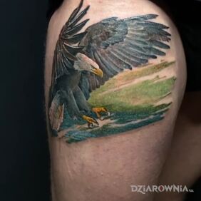 Tatuaż Orzeł na nodze motyw: zwierzęta styl: realistyczne