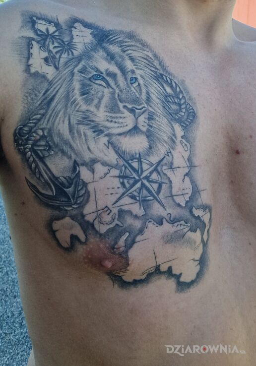 Tatuaż lew w motywie zwierzęta i stylu szkic na klatce