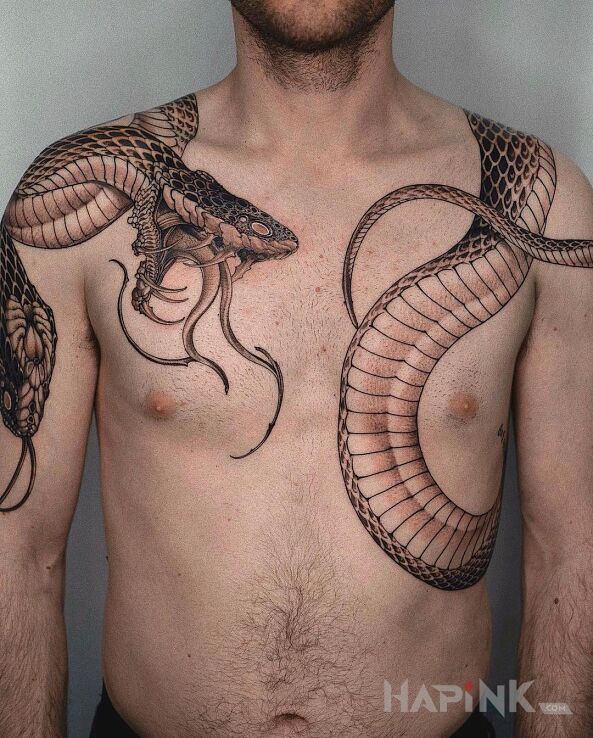 Tattoo Boa dusiciel in black and gray motif and realistic style on the stomach