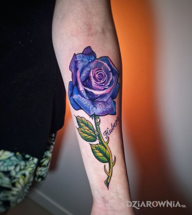 Tatuaż kolorowa róża na przedramieniu w motywie rękawy i stylu graficzne / ilustracyjne na nadgarstku