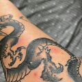 Pomoc - Czerwone krostki na tatuażu
