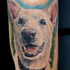 Tattoo Color dog tattoo On the arm motif: colorful style: realistic